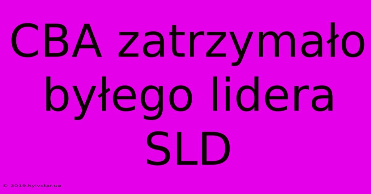 CBA Zatrzymało Byłego Lidera SLD