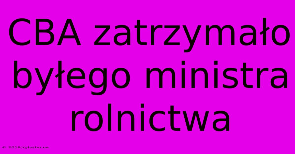 CBA Zatrzymało Byłego Ministra Rolnictwa