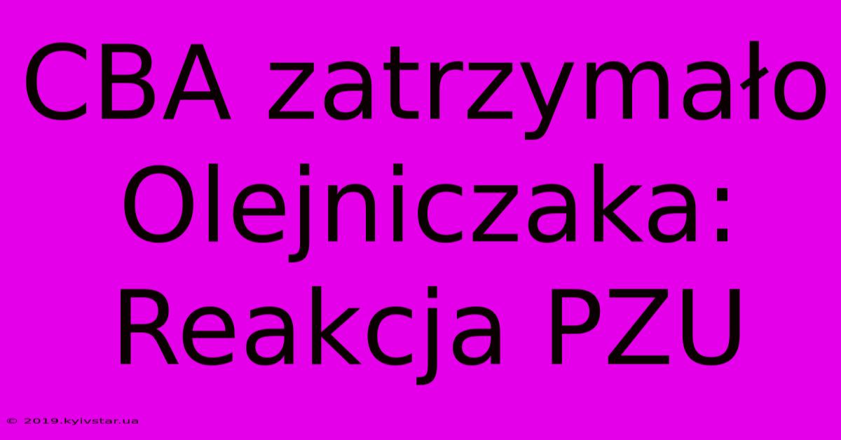 CBA Zatrzymało Olejniczaka: Reakcja PZU