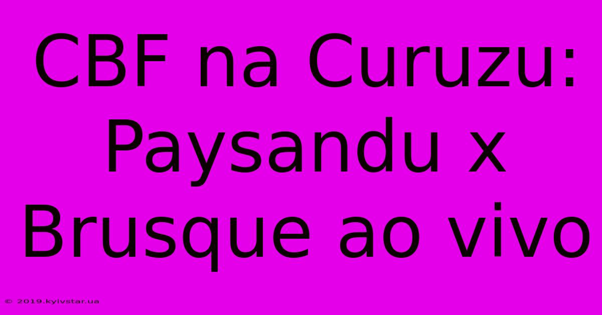 CBF Na Curuzu: Paysandu X Brusque Ao Vivo