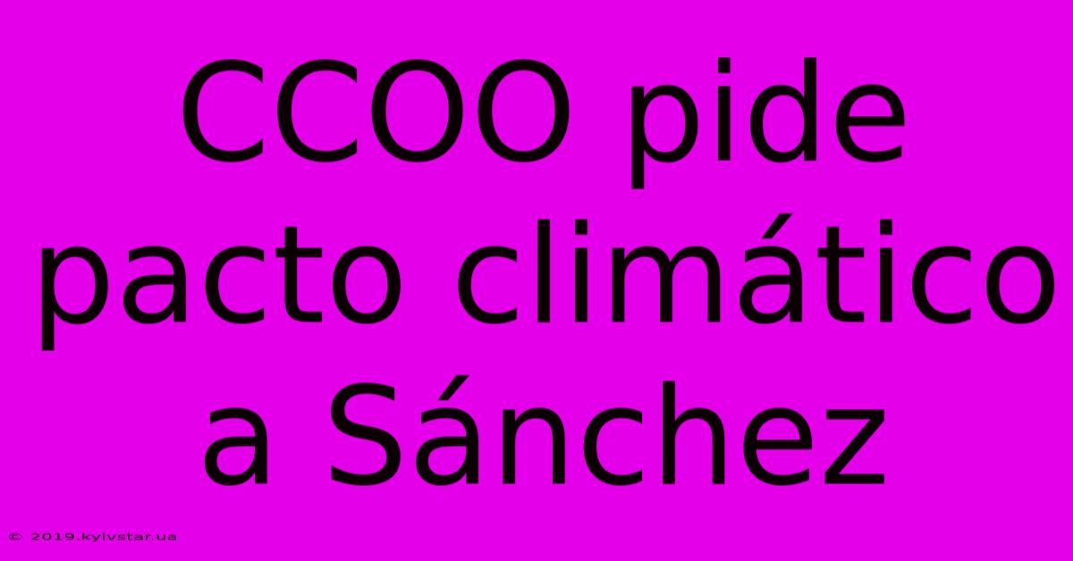 CCOO Pide Pacto Climático A Sánchez