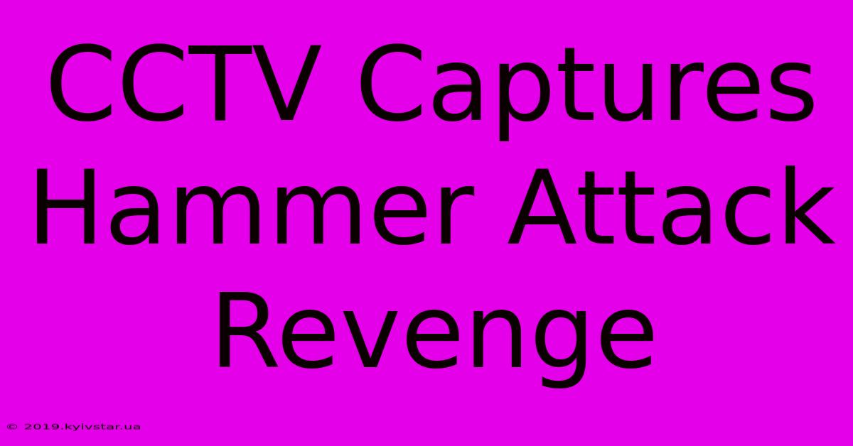 CCTV Captures Hammer Attack Revenge 