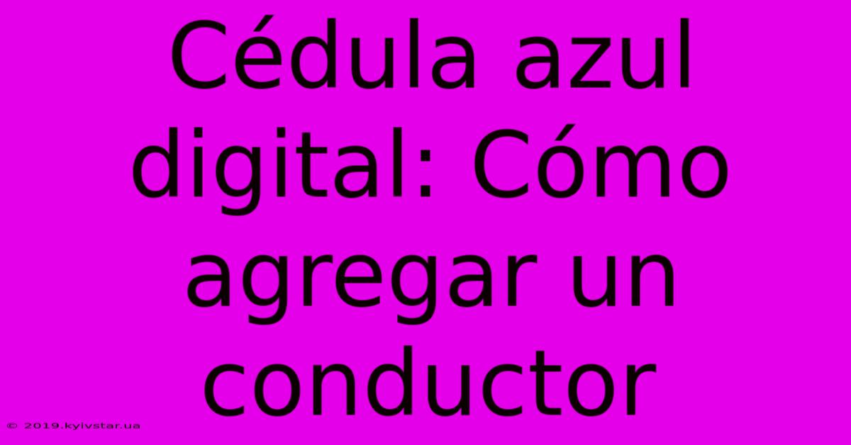 Cédula Azul Digital: Cómo Agregar Un Conductor