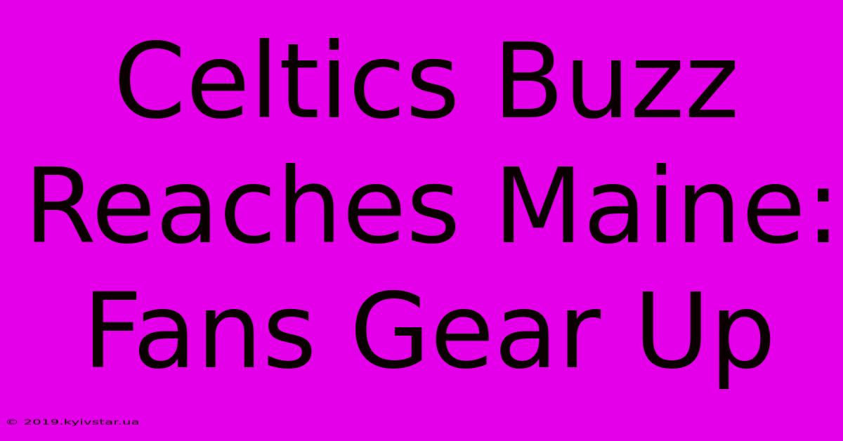 Celtics Buzz Reaches Maine: Fans Gear Up