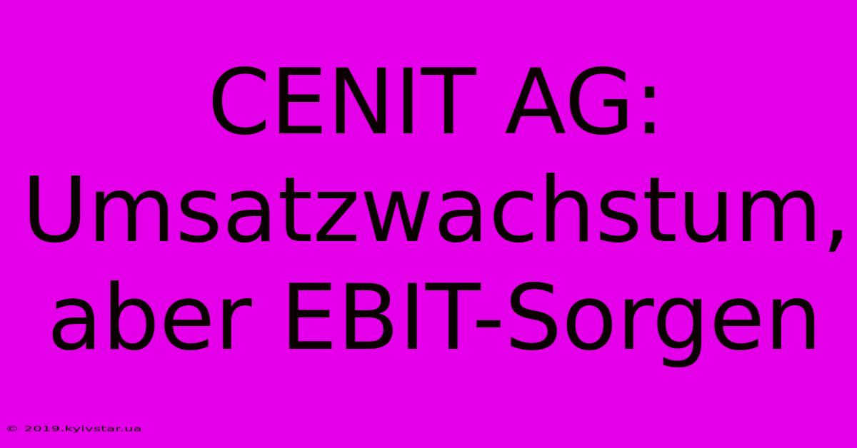 CENIT AG: Umsatzwachstum, Aber EBIT-Sorgen