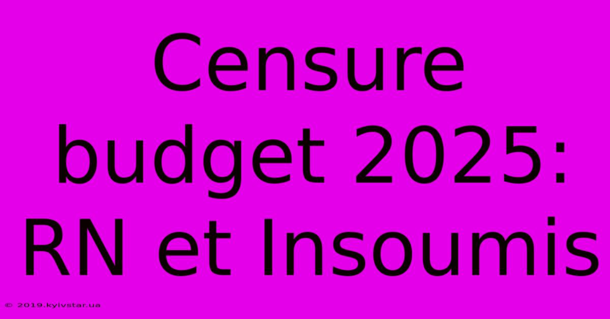 Censure Budget 2025: RN Et Insoumis