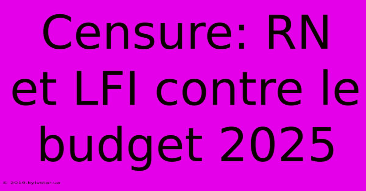 Censure: RN Et LFI Contre Le Budget 2025