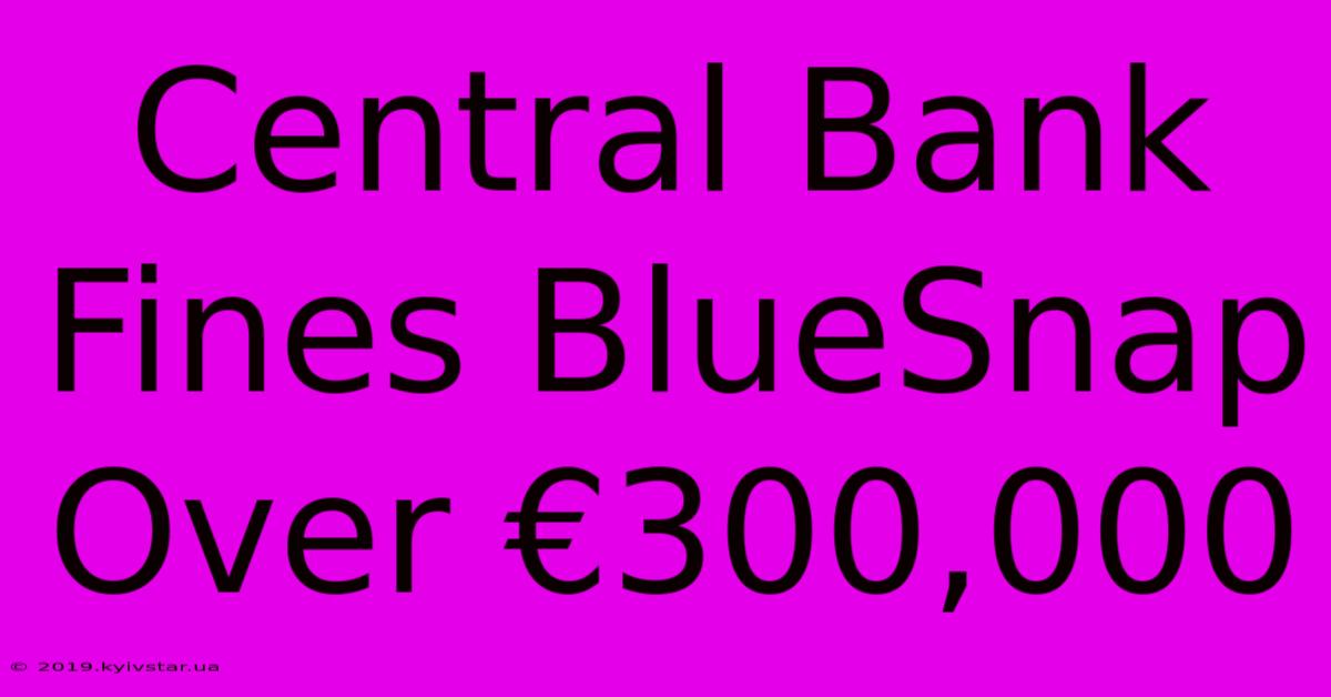 Central Bank Fines BlueSnap Over €300,000