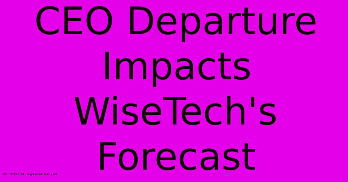 CEO Departure Impacts WiseTech's Forecast