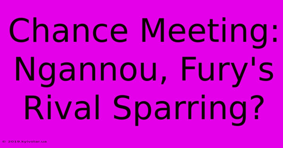 Chance Meeting: Ngannou, Fury's Rival Sparring?
