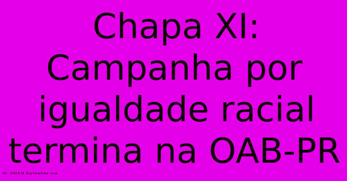 Chapa XI: Campanha Por Igualdade Racial Termina Na OAB-PR