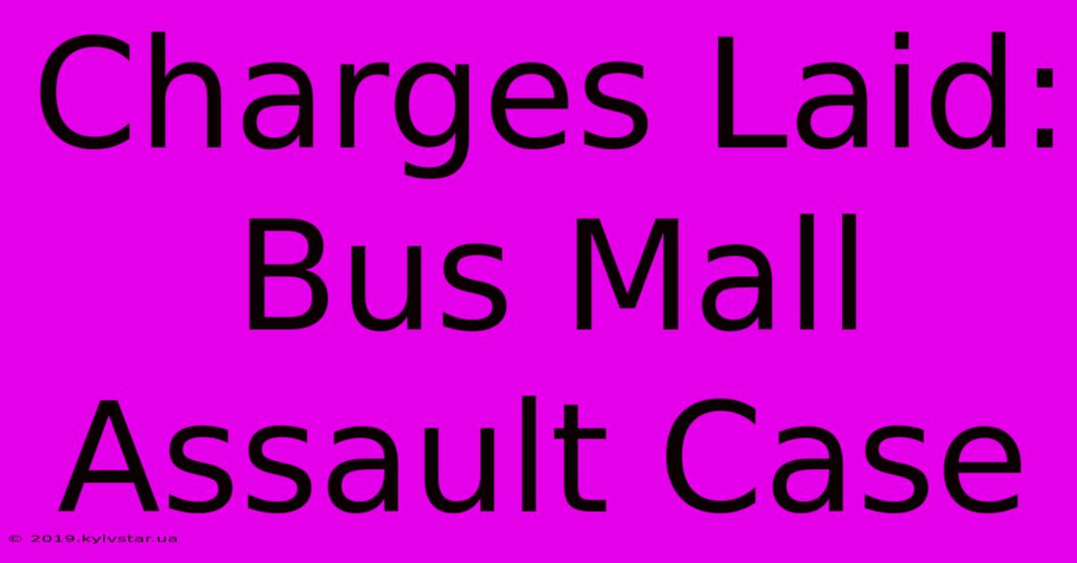 Charges Laid: Bus Mall Assault Case