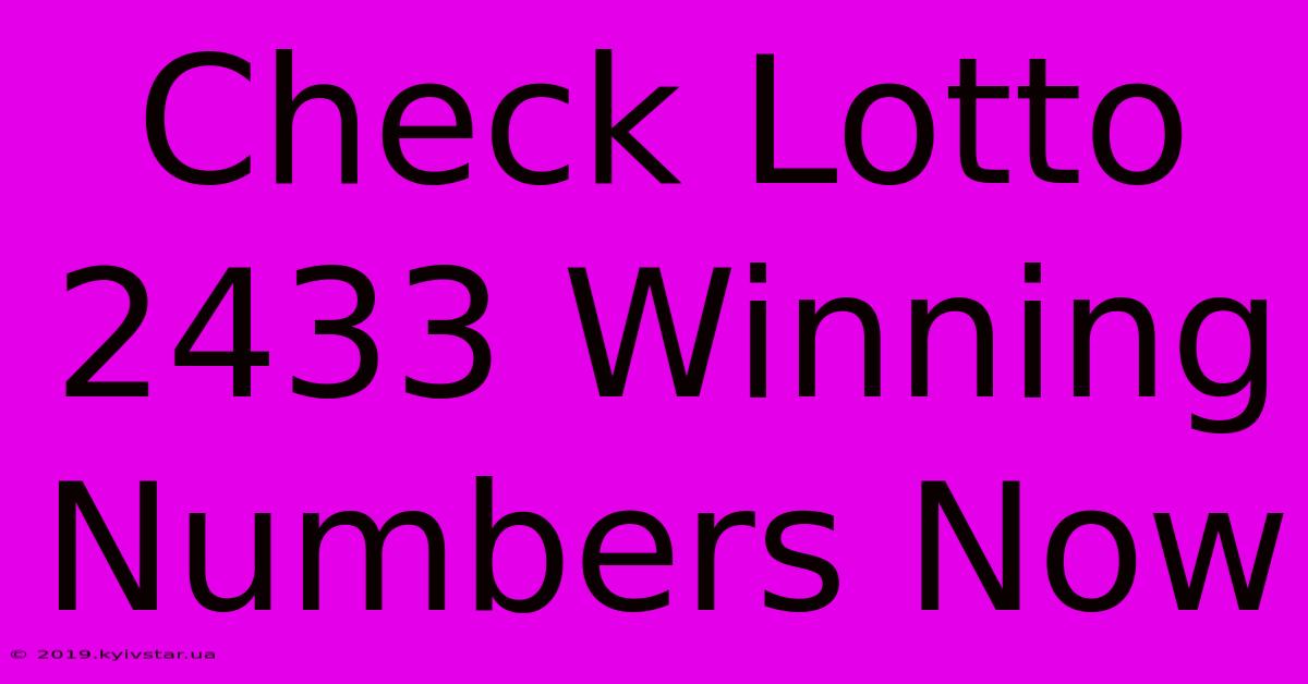 Check Lotto 2433 Winning Numbers Now