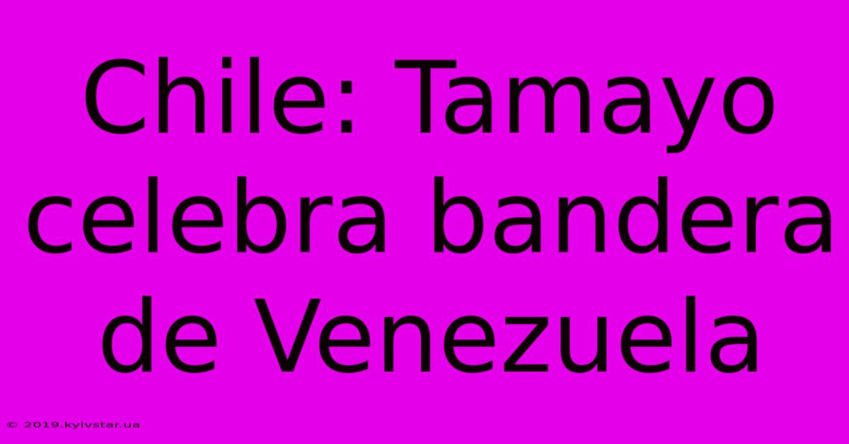 Chile: Tamayo Celebra Bandera De Venezuela