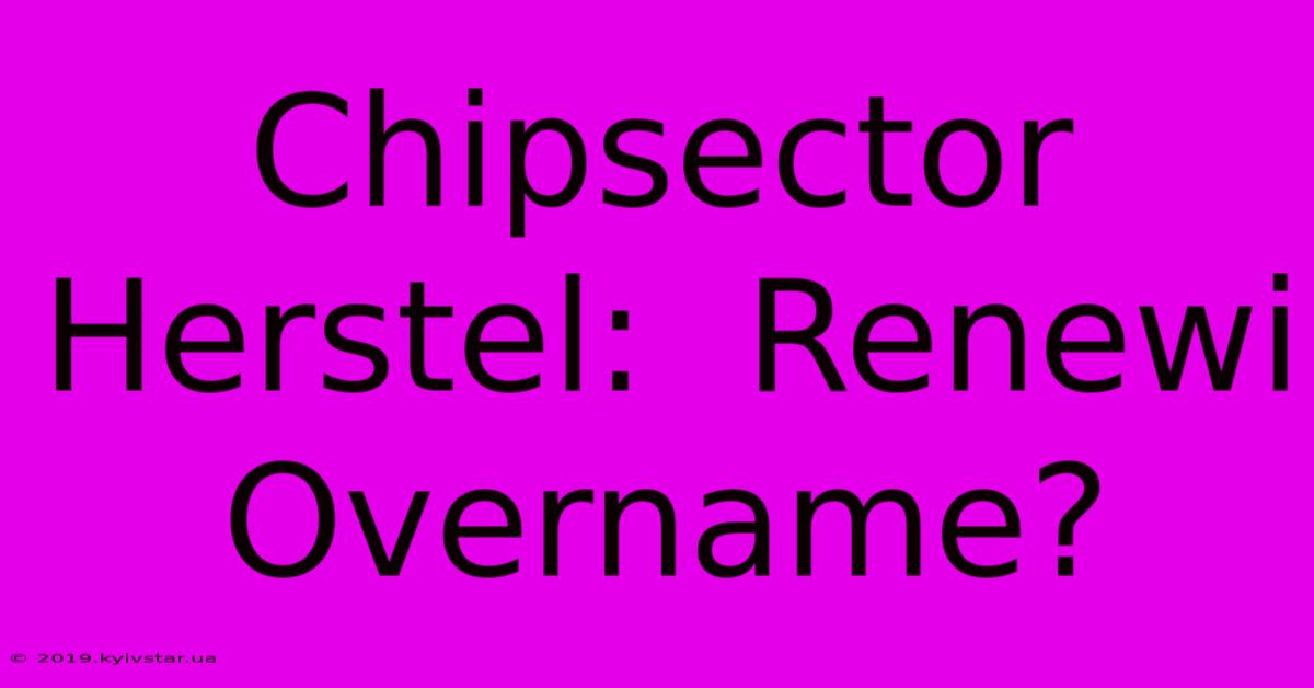 Chipsector Herstel:  Renewi Overname?