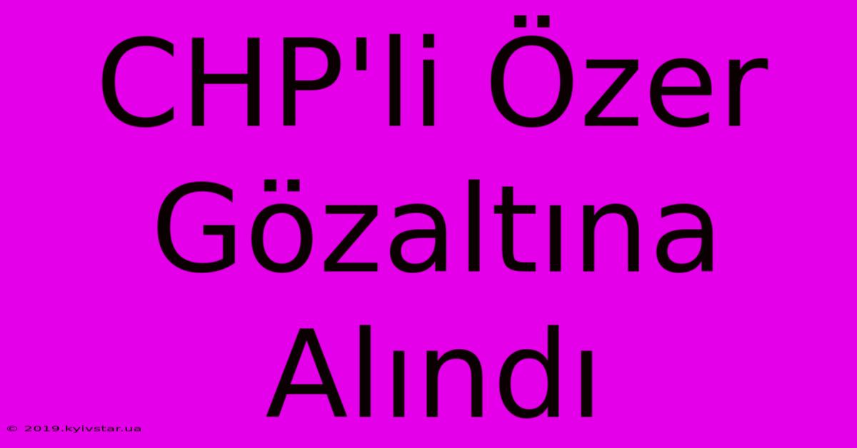 CHP'li Özer Gözaltına Alındı