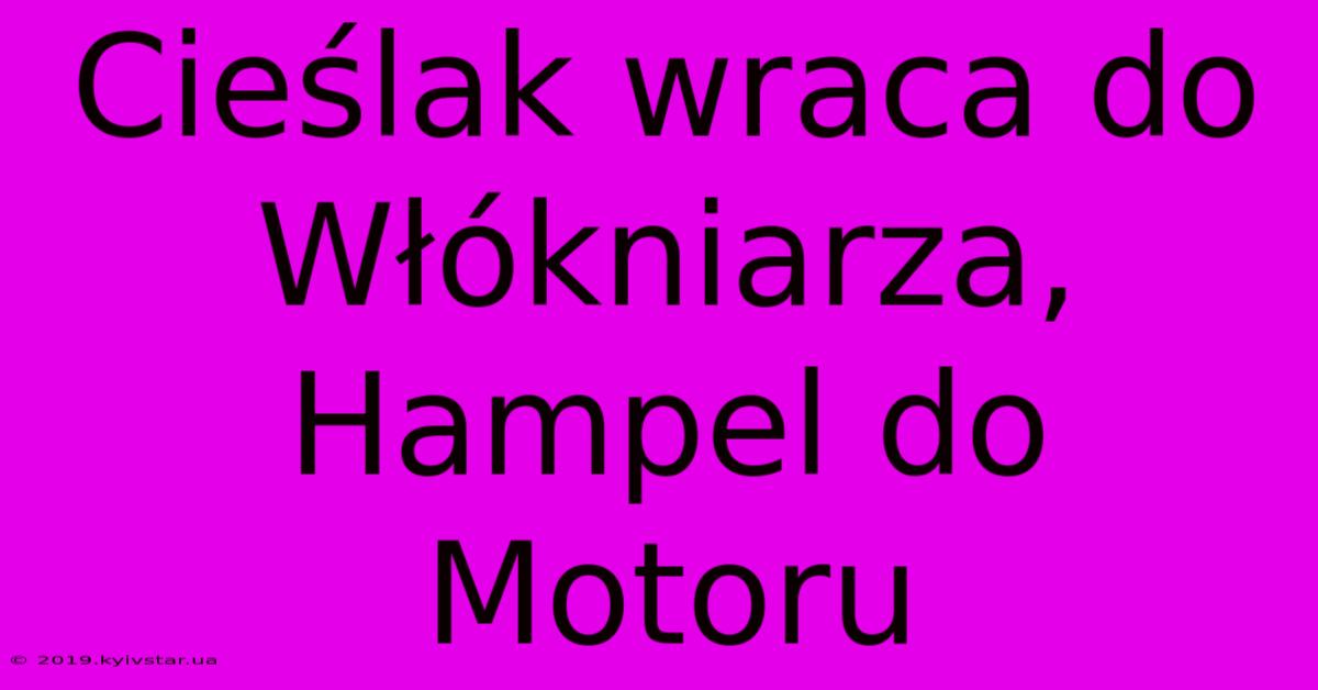 Cieślak Wraca Do Włókniarza, Hampel Do Motoru