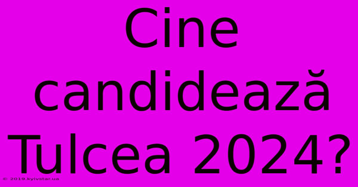 Cine Candidează Tulcea 2024?