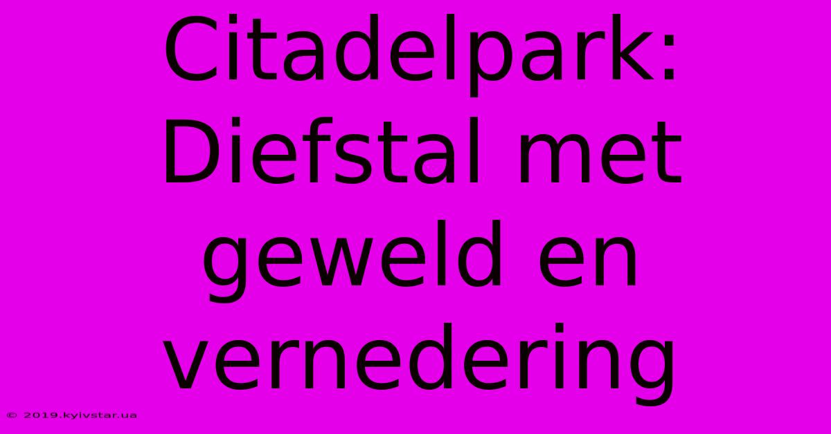 Citadelpark: Diefstal Met Geweld En Vernedering