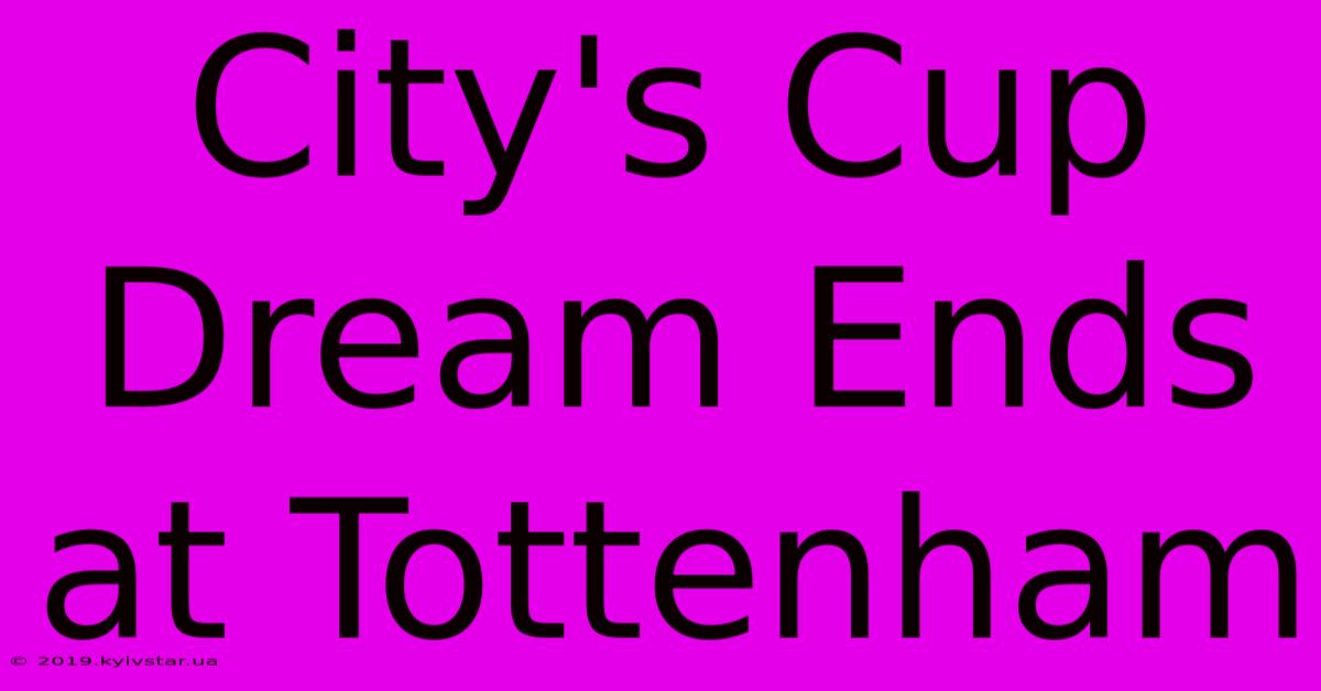 City's Cup Dream Ends At Tottenham 