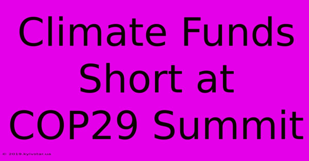 Climate Funds Short At COP29 Summit