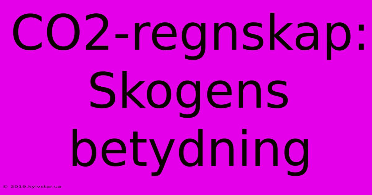 CO2-regnskap: Skogens Betydning