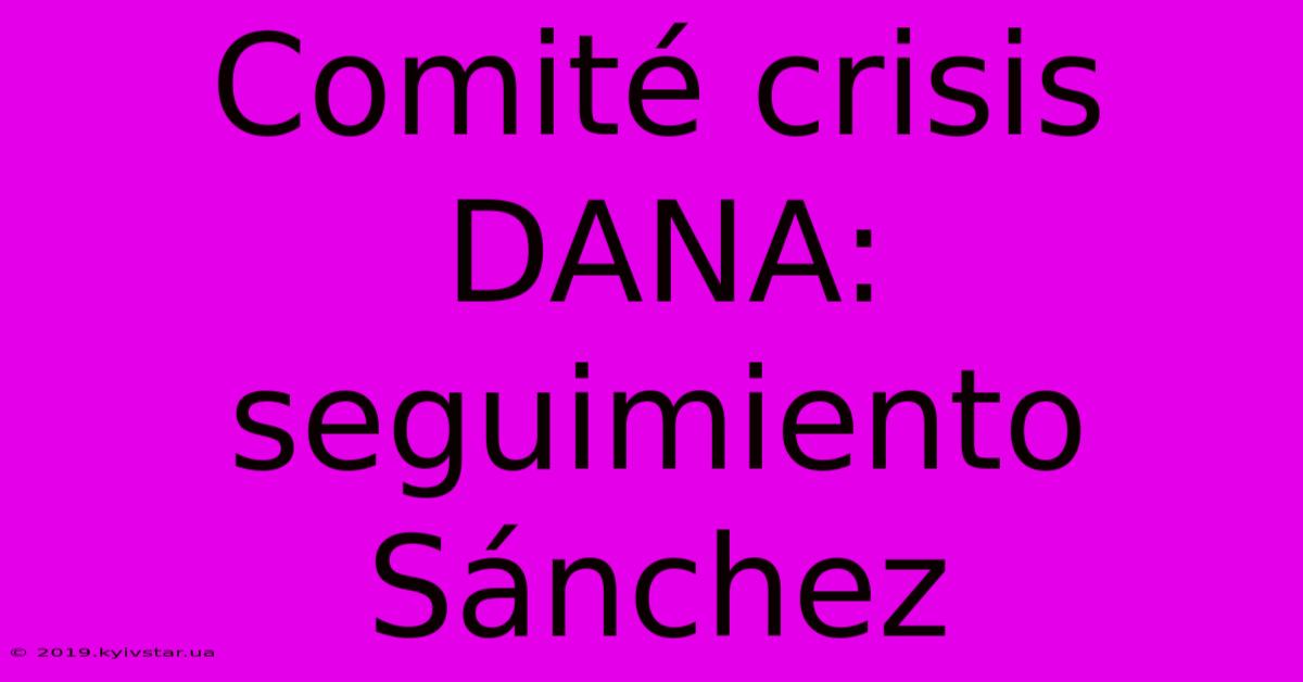 Comité Crisis DANA: Seguimiento Sánchez