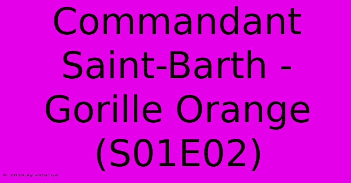 Commandant Saint-Barth - Gorille Orange (S01E02)