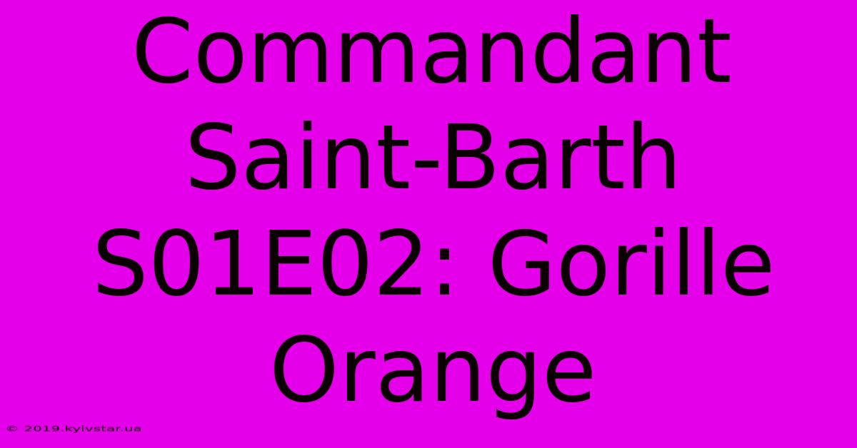 Commandant Saint-Barth S01E02: Gorille Orange