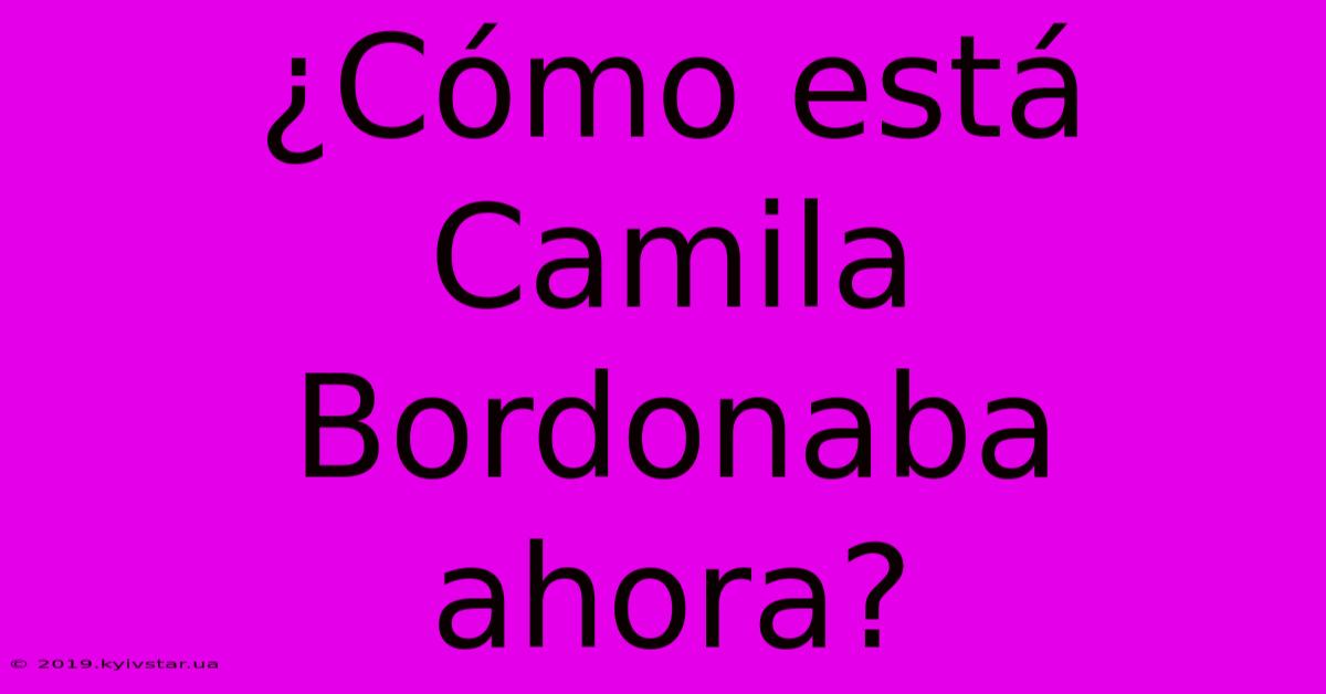 ¿Cómo Está Camila Bordonaba Ahora?