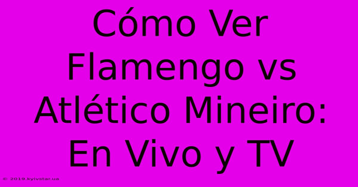 Cómo Ver Flamengo Vs Atlético Mineiro: En Vivo Y TV 
