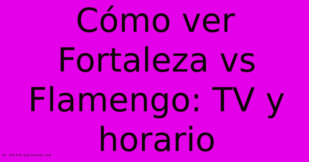 Cómo Ver Fortaleza Vs Flamengo: TV Y Horario