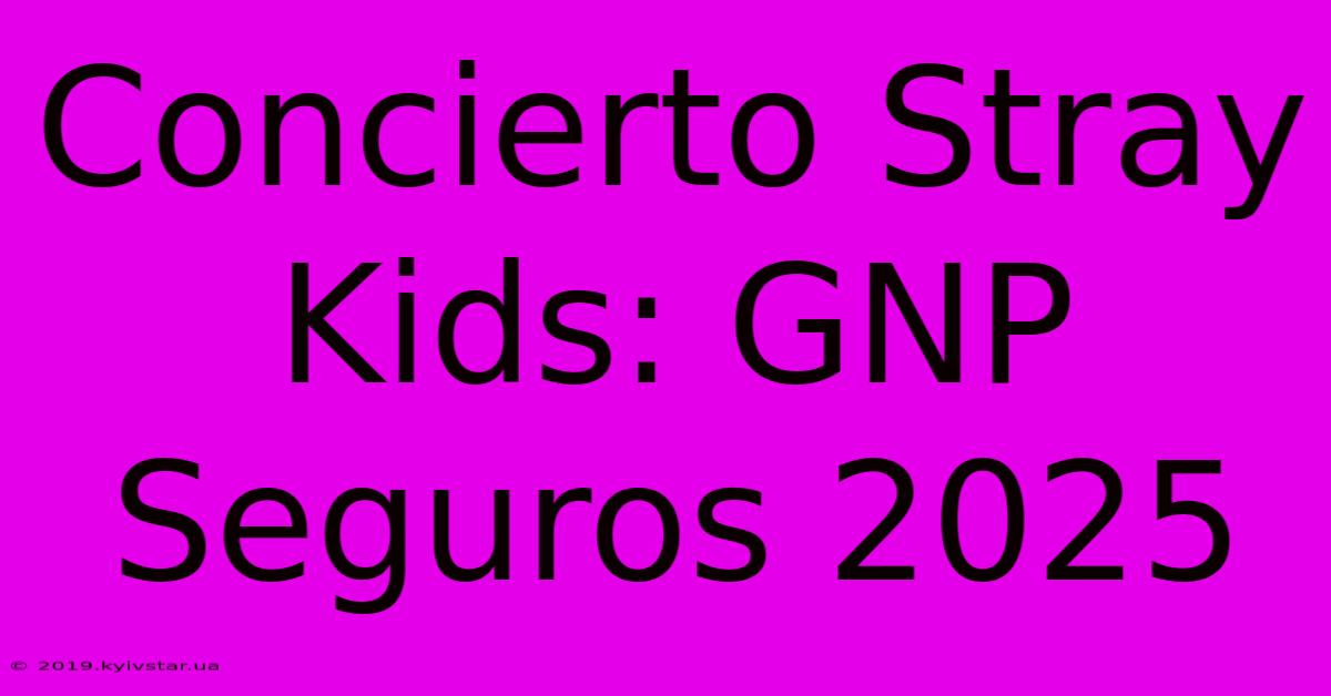 Concierto Stray Kids: GNP Seguros 2025