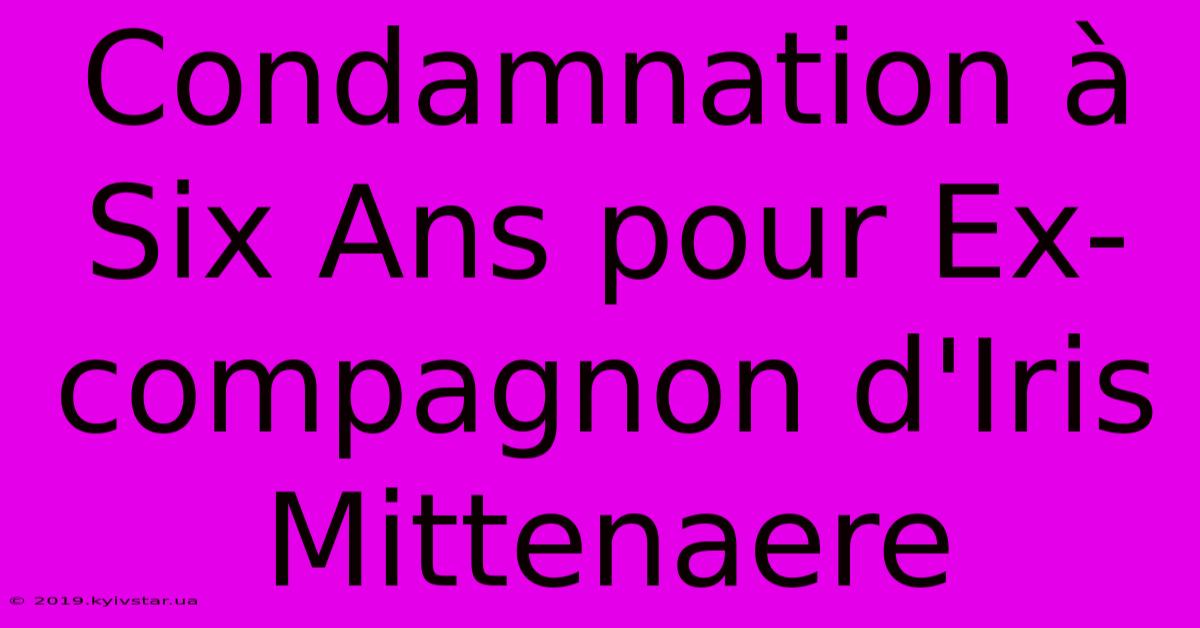 Condamnation À Six Ans Pour Ex-compagnon D'Iris Mittenaere