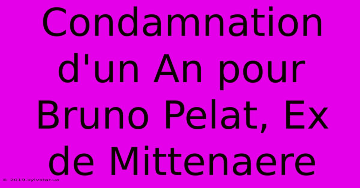 Condamnation D'un An Pour Bruno Pelat, Ex De Mittenaere