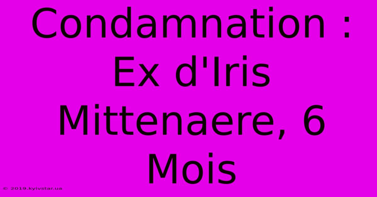 Condamnation : Ex D'Iris Mittenaere, 6 Mois