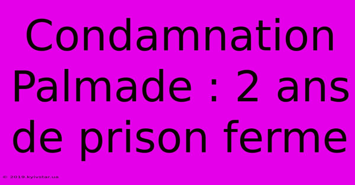 Condamnation Palmade : 2 Ans De Prison Ferme