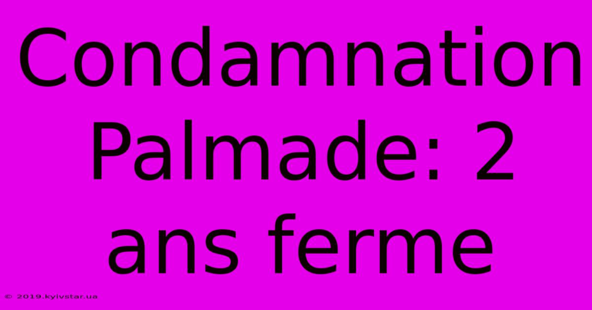 Condamnation Palmade: 2 Ans Ferme