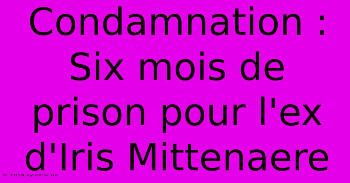 Condamnation : Six Mois De Prison Pour L'ex D'Iris Mittenaere