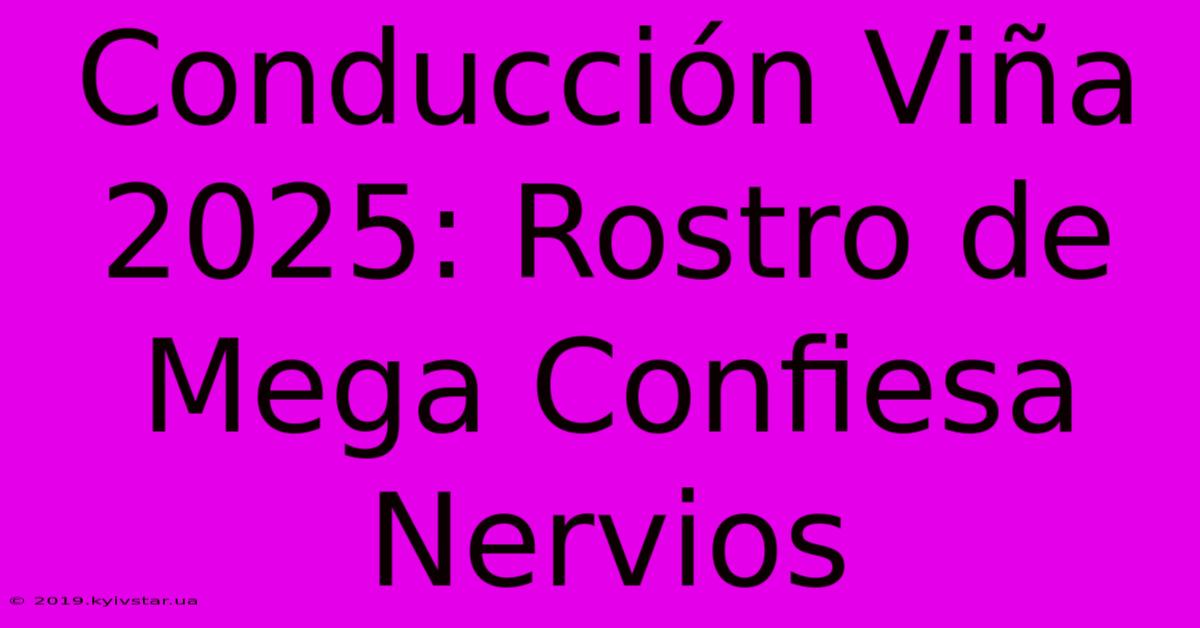 Conducción Viña 2025: Rostro De Mega Confiesa Nervios