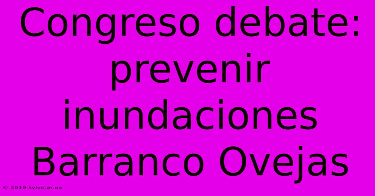 Congreso Debate: Prevenir Inundaciones Barranco Ovejas