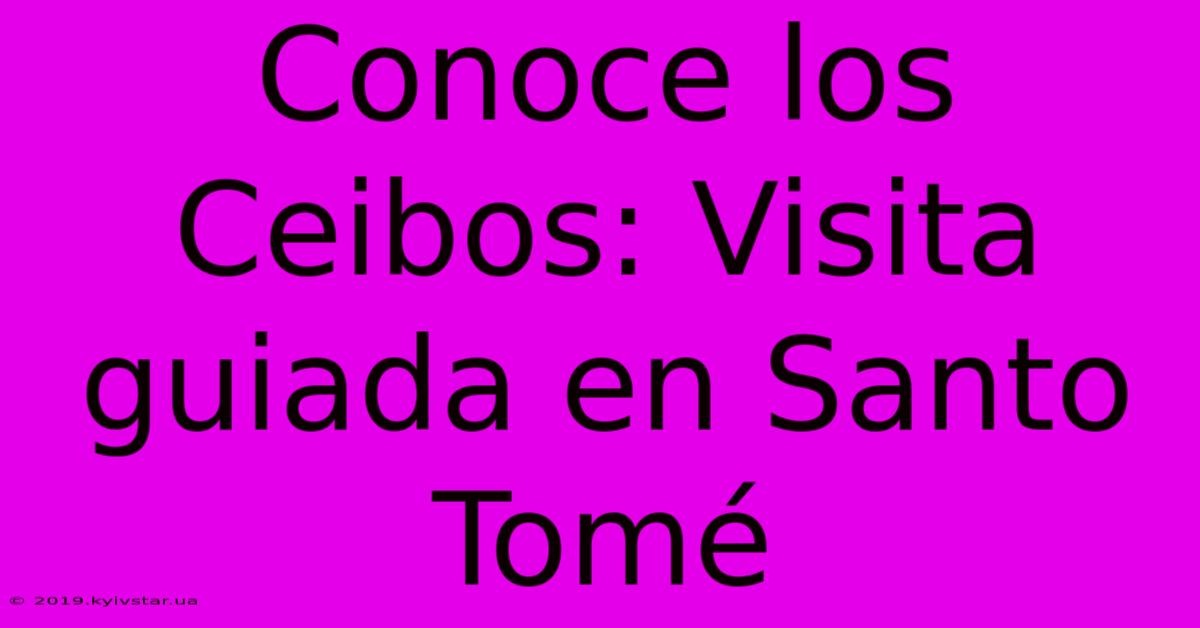 Conoce Los Ceibos: Visita Guiada En Santo Tomé