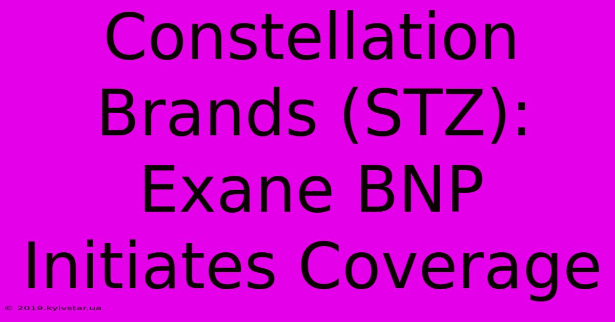 Constellation Brands (STZ): Exane BNP Initiates Coverage