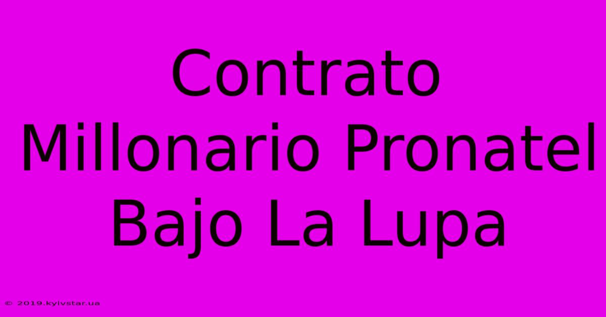 Contrato Millonario Pronatel Bajo La Lupa