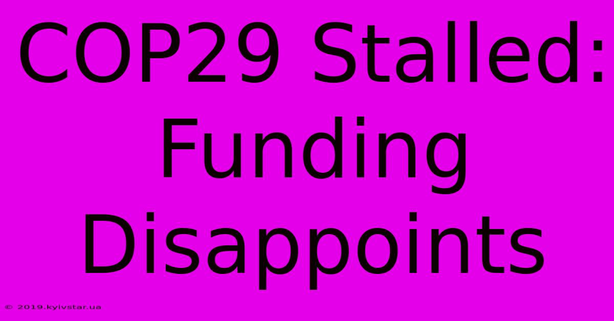 COP29 Stalled:  Funding Disappoints