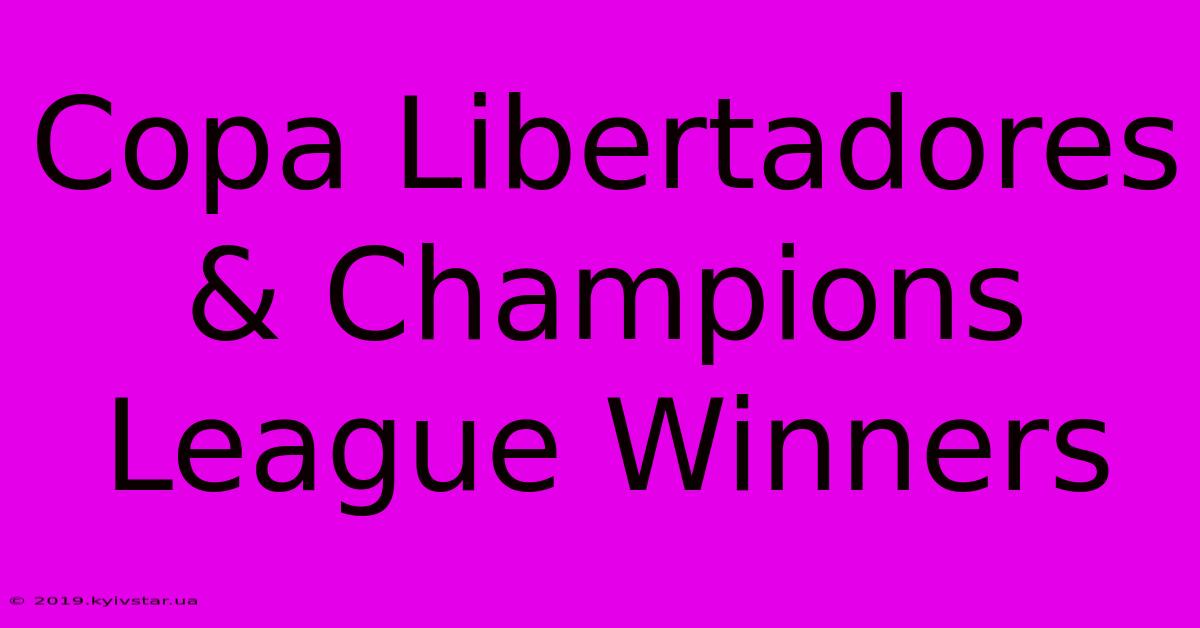 Copa Libertadores & Champions League Winners