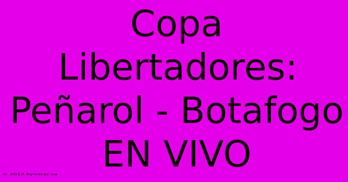 Copa Libertadores: Peñarol - Botafogo EN VIVO