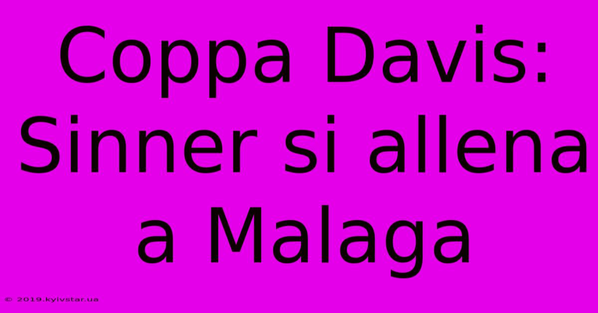 Coppa Davis: Sinner Si Allena A Malaga