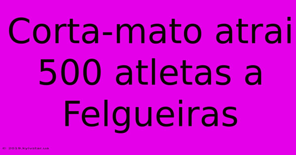 Corta-mato Atrai 500 Atletas A Felgueiras