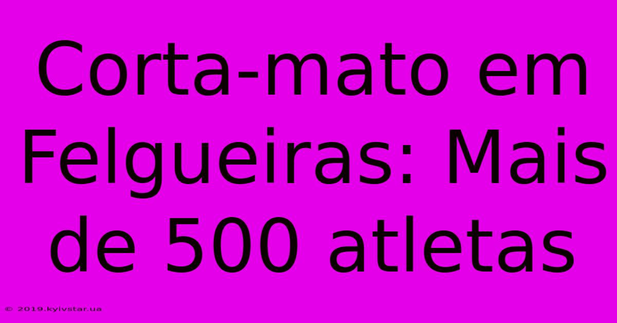 Corta-mato Em Felgueiras: Mais De 500 Atletas